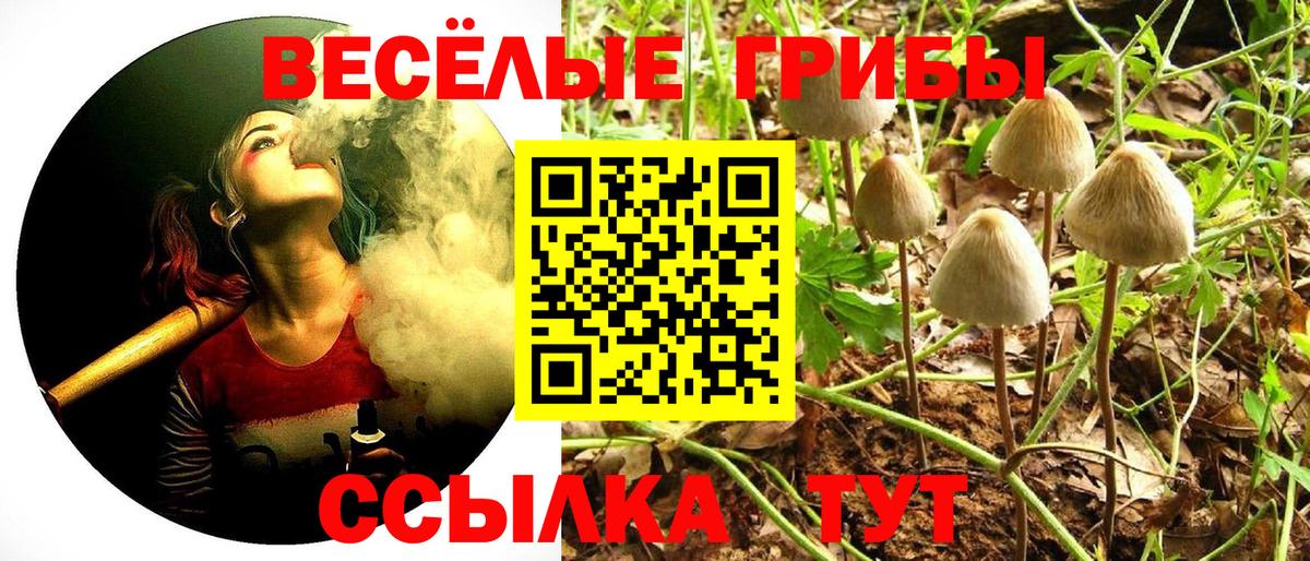 Псилоцибиновые грибы GOLDEN TEACHER Кинешма