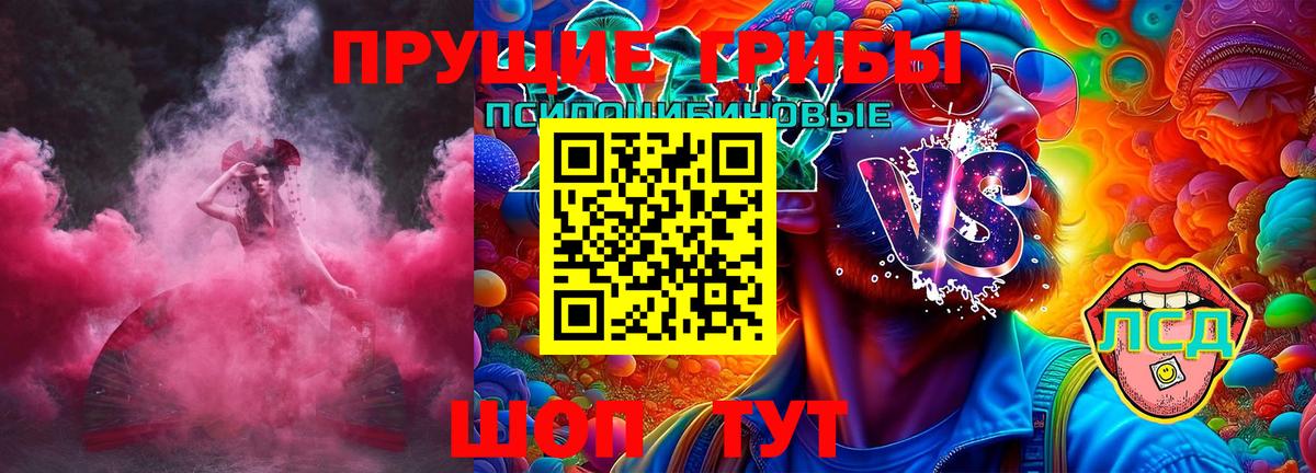 Галлюциногенные грибы Magic Shrooms  Вход с VPN  Кинешма  Псилоцибиновые грибы Psilocybe 
