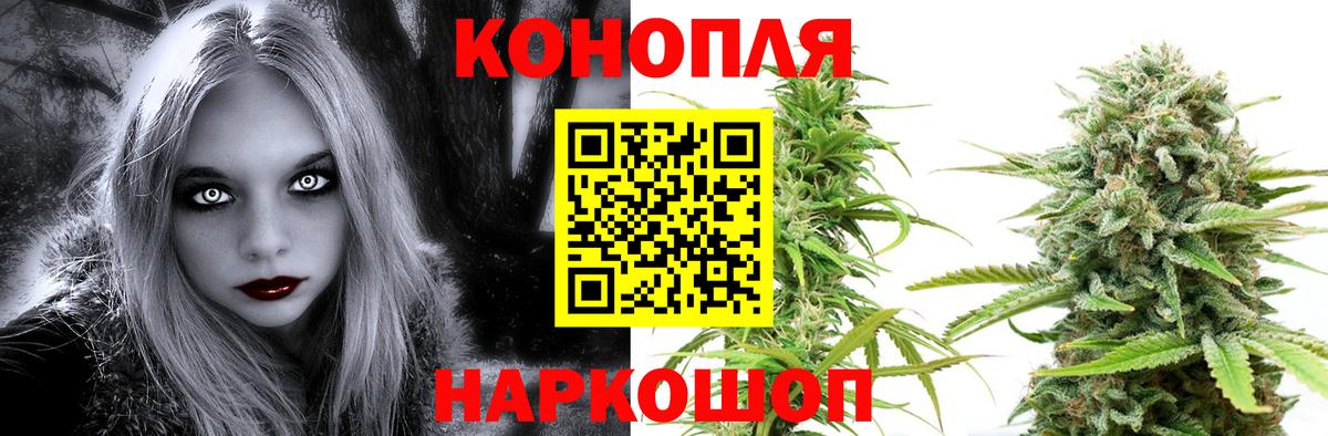 Бошки Шишки гибрид Кинешма